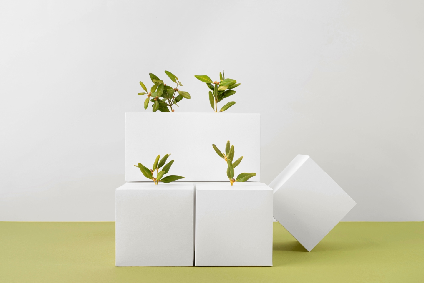 sustainability-concept-with-blank-geometric-forms-growing-plant